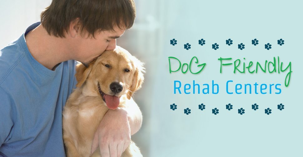 Pet-Friendly Rehab Oakland California Pet Friendly Rehabs