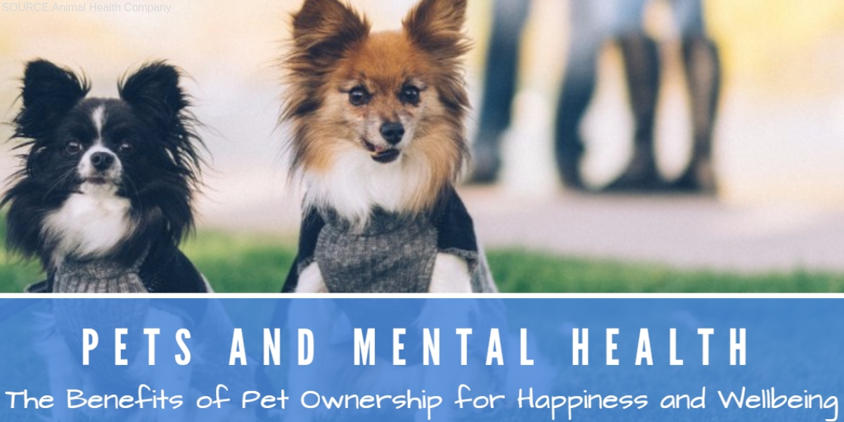 Pet-Friendly Rehab Fresno California Pet Friendly Rehabs