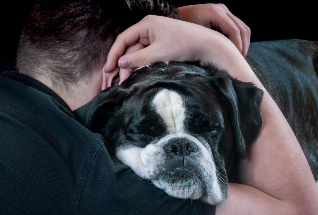 The Benefits Of Therapy Animals Pet Friendly Rehabs