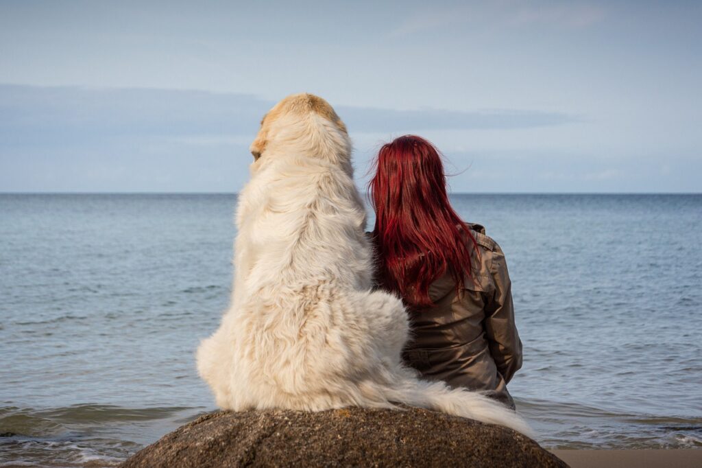 Pets Used For Therapy Pet Friendly Rehabs