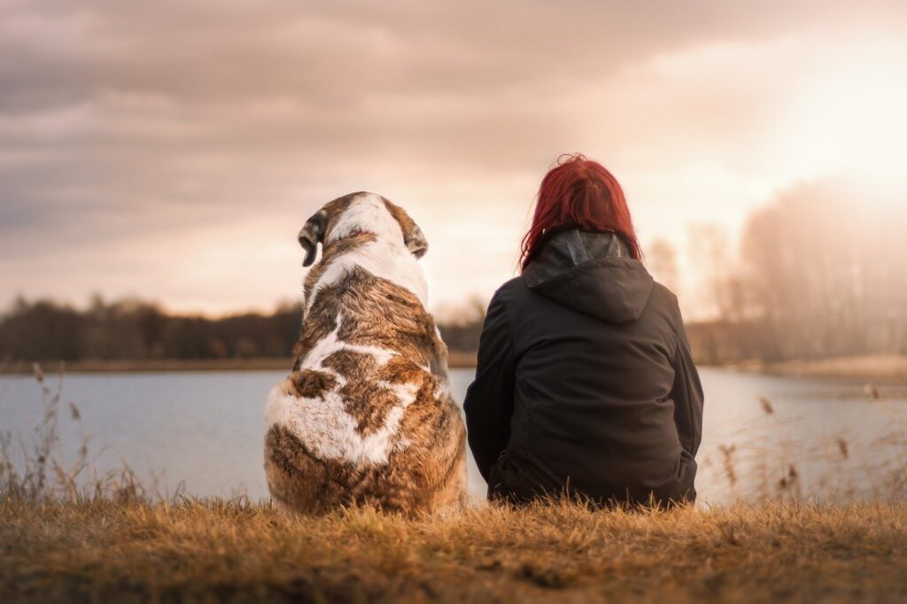 Best Pets For Mental Health Pet Friendly Rehabs